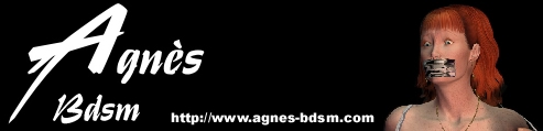 banniere Agnes Bdsm